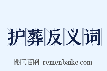 护葬反义词是什么意思的图片